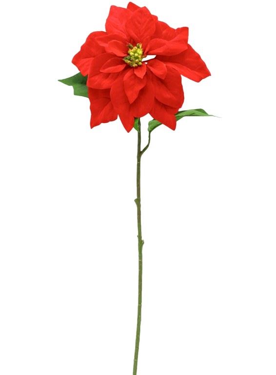 POINSECJA POJEDYNCZA WELUR 70CM VELVET RED