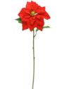 POINSECJA POJEDYNCZA WELUR 70CM VELVET RED