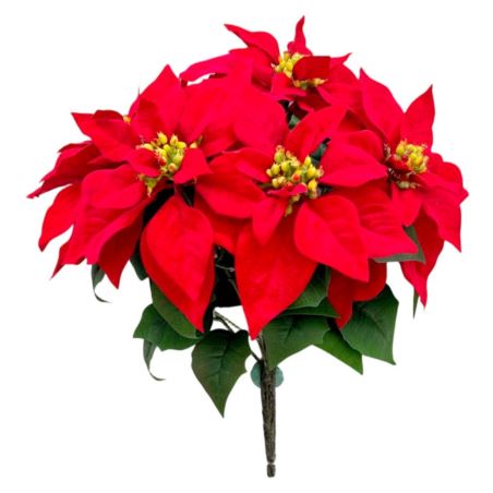 POINSECJA BUKIET 5 KWIATÓW 70CM VELVET RED