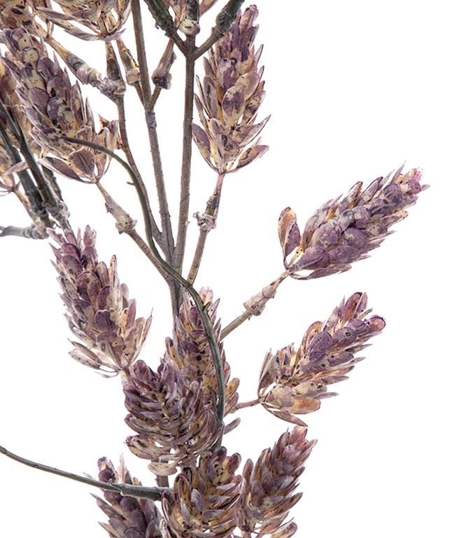 CHMIEL GAŁĄZKA DEKORACYJNA 62CM OLD VIOLET