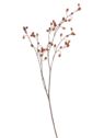DZIKA RÓŻA Z OWOCAMI GAŁĄZKA 120CM  BROWN LT BROWN