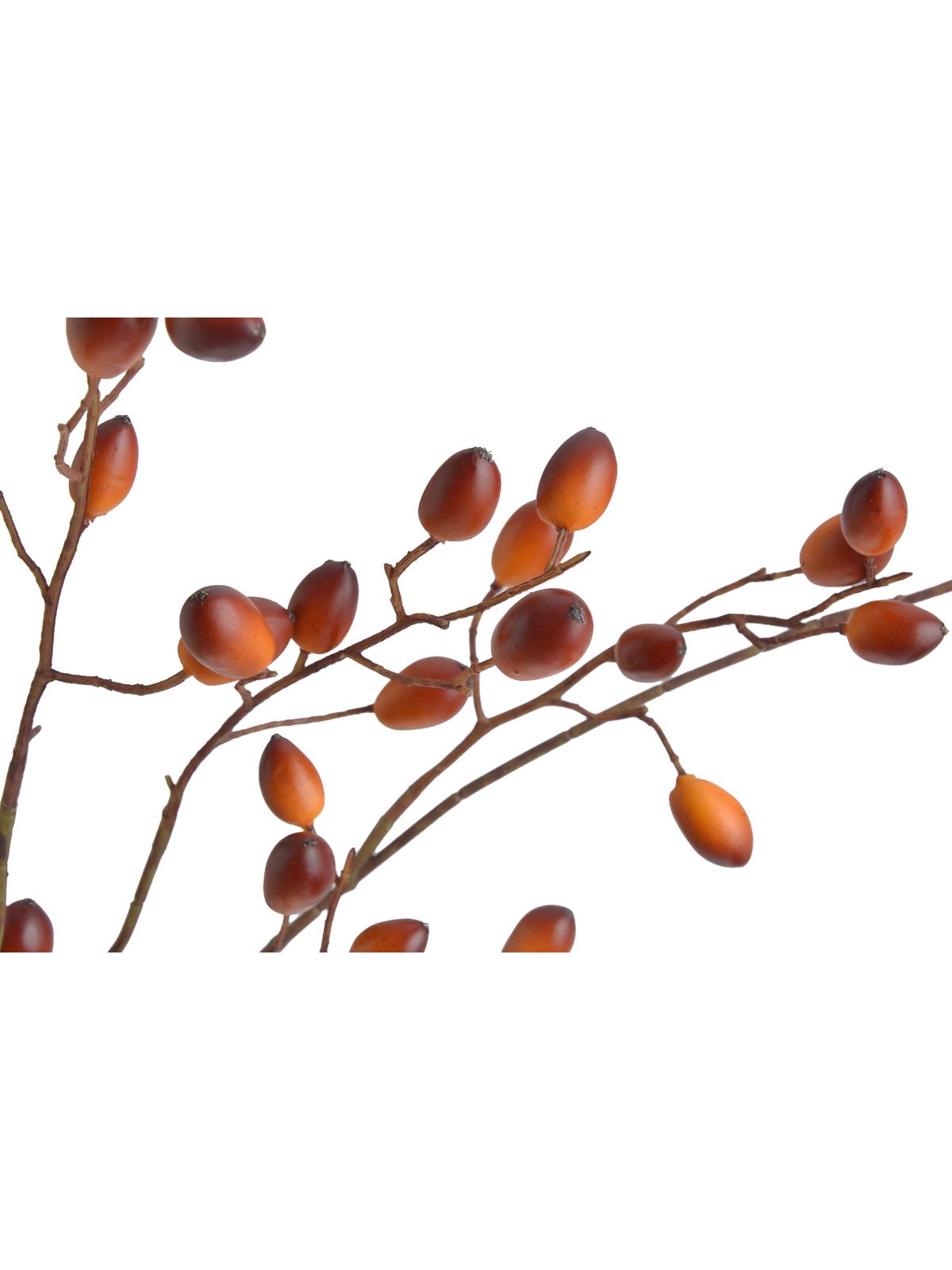 DZIKA RÓŻA Z OWOCAMI GAŁĄZKA 120CM  BROWN LT BROWN