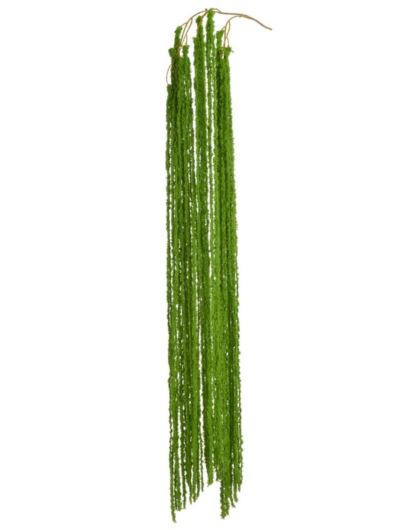 AMARANTUS PLUSZOWY WĄZKI ZWIS 175CM GREEN