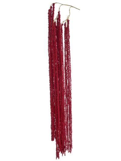 AMARANTUS PLUSZOWY WĄZKI ZWIS 175CM