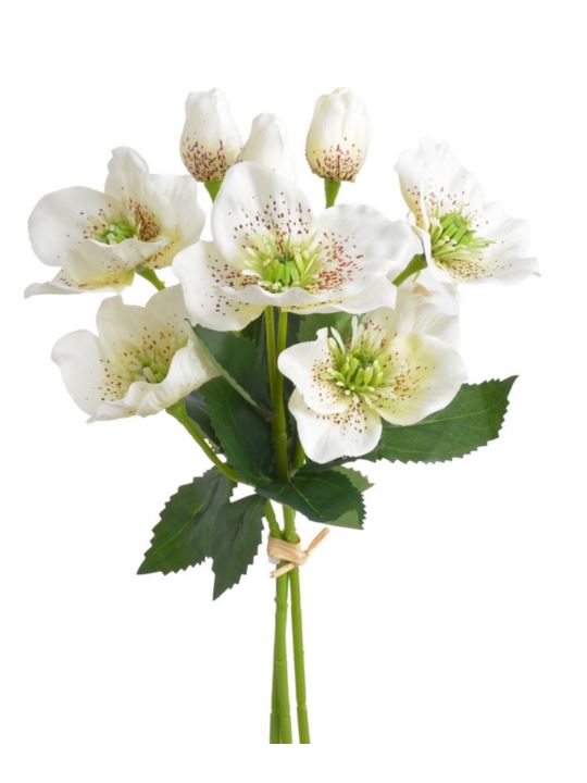 CIEMIERNIK PECZEK 9 KWIATÓW 35CM WHITE