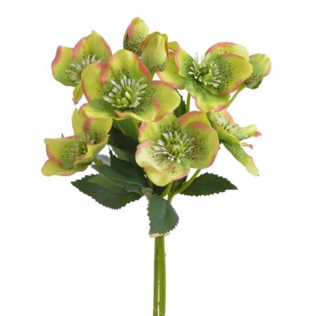 CIEMIERNIK PECZEK 9 KWIATÓW 35CM JUCY GREEN