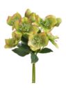 CIEMIERNIK PECZEK 9 KWIATÓW 35CM JUCY GREEN