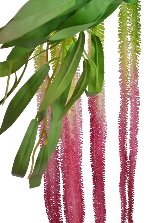 AMARANTUS DUMOWY - ZWIS 105CM BURGUNDY