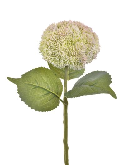 ROZCHODNIK GAŁĄZKA 30CM TPY1010 GR LT PINK