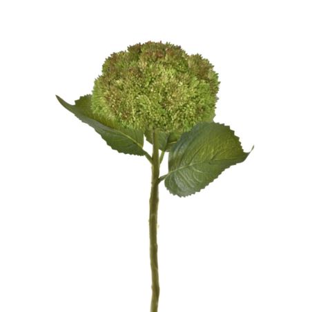 ROZCHODNIK GAŁĄZKA 30CM TPY1010 GR RED