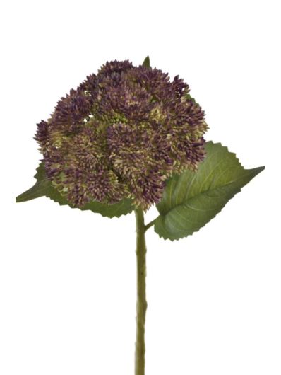 ROZCHODNIK GAŁĄZKA 30CM TPY1010 GR VIOLET