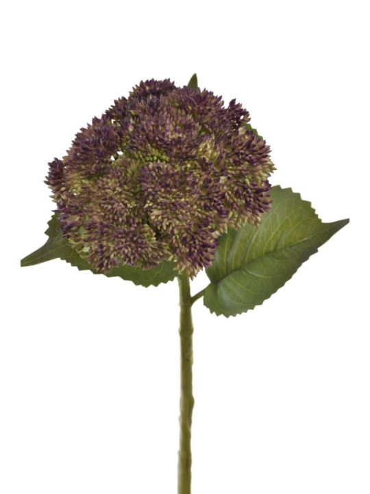 ROZCHODNIK GAŁĄZKA 30CM TPY1010 GR VIOLET