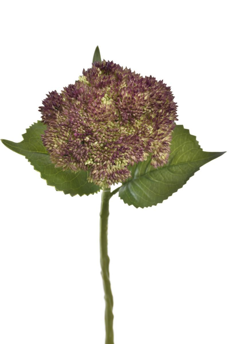 ROZCHODNIK GAŁĄZKA 30CM TPY1010 GR BURGUNDY