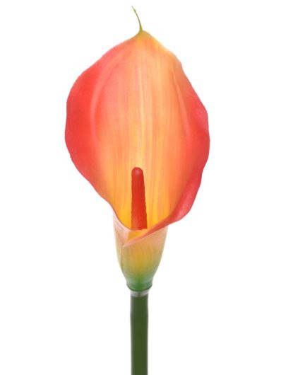 CALLA GUMA 72 CM ANA1013 LEMON TEA