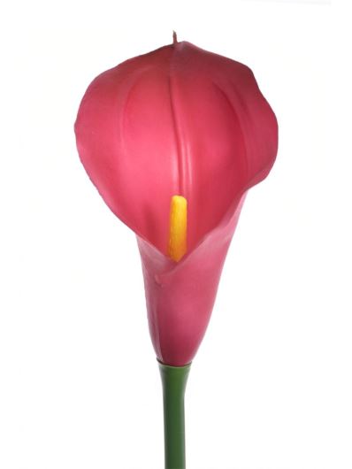 CALLA GUMA 72 CM ANA1013 BEAUTY