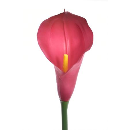 CALLA GUMA 72 CM ANA1013 BEAUTY