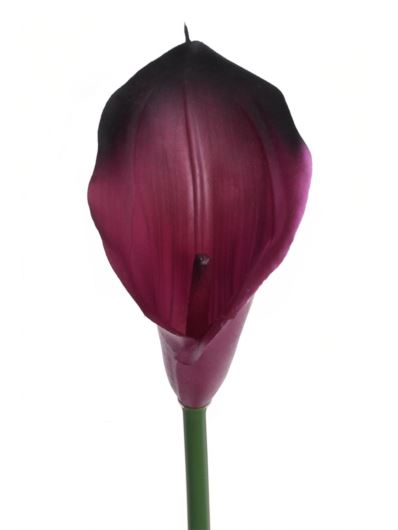CALLA GUMA 72 CM ANA1013 BEAUTY BLACK
