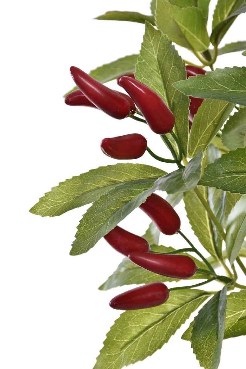 PAPRYCZKA CHILI BUKIET 42CM OWO1021 RED