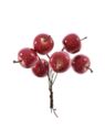 GRANAT PICK 6 OWOCÓW ŚR 2,5CM OWO1015 RED SHINE