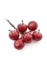 GRANAT PICK 6 OWOCÓW ŚR 2,5CM OWO1015 RED SHINE