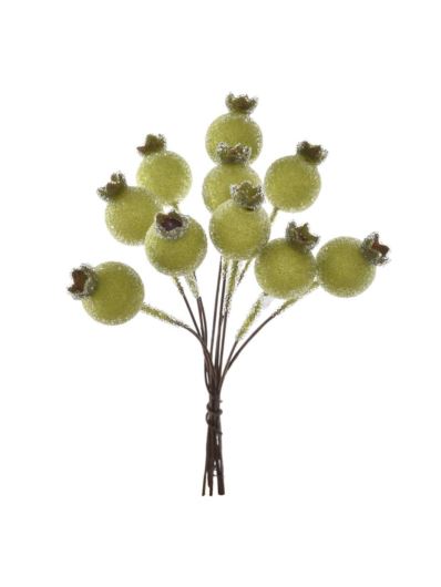 DZIKA RÓŻA 10 OWOCÓW 12CM OWO1017 GREEN SUGAR