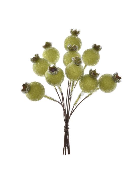 DZIKA RÓŻA 10 OWOCÓW 12CM OWO1017 GREEN SUGAR