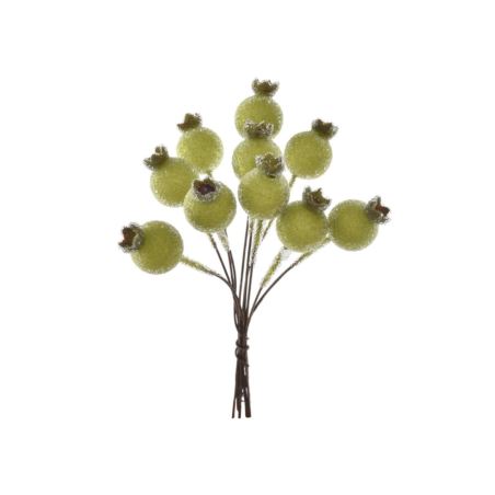 DZIKA RÓŻA 10 OWOCÓW 12CM OWO1017 GREEN SUGAR