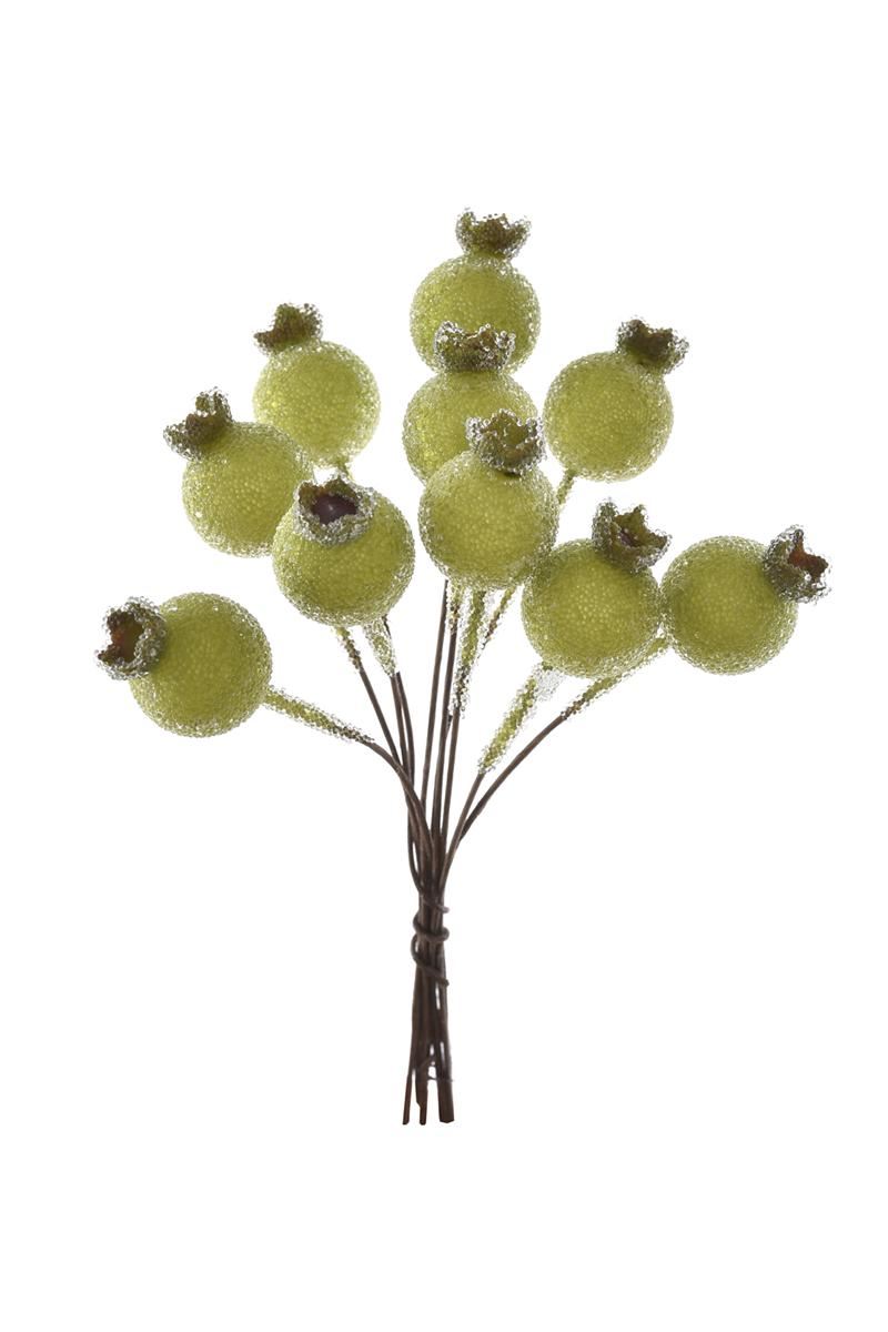 DZIKA RÓŻA 10 OWOCÓW 12CM OWO1017 GREEN SUGAR