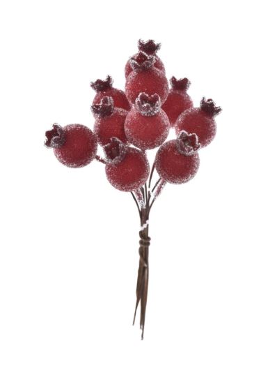 DZIKA RÓŻA 10 OWOCÓW 12CM OWO1017 RED SUGAR