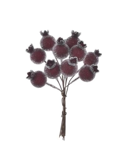 DZIKA RÓŻA 10 OWOCÓW 12CM OWO1017 BURGUNDY SUGAR