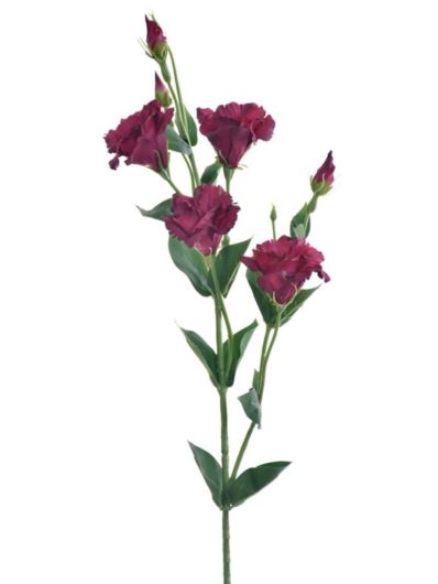 EUSTOMA GAŁĄZKA 83CM SUN345 DEEP BURGUNDY