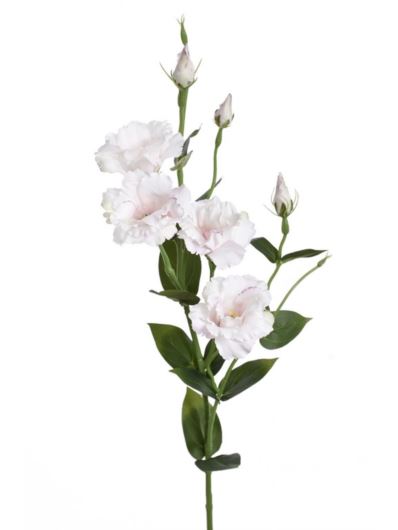 EUSTOMA GAŁĄZKA 83CM SUN345 PEARL