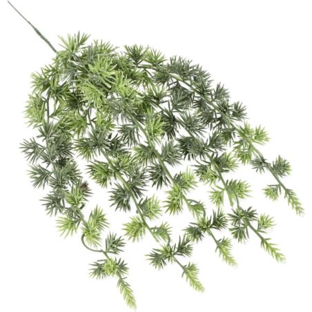 MODRZEW BIELONY -  ZWIS 43CM 24038-3 POWDER GREEN