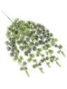 MODRZEW BIELONY -  ZWIS 43CM 24038-3 POWDER GREEN