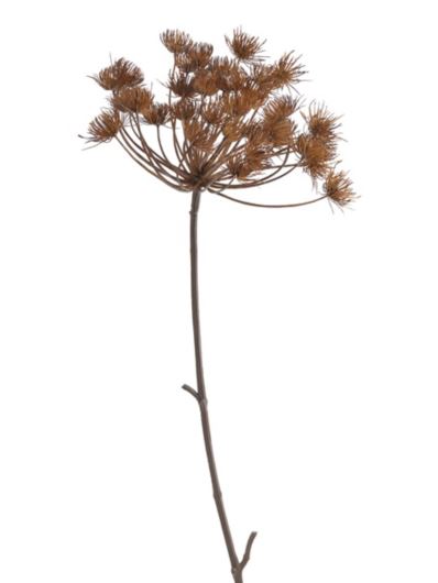 KOPER GIGANT 77CM AUTUMN BROWN