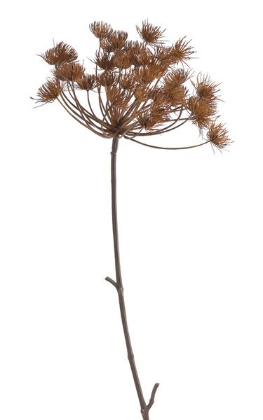 KOPER GIGANT 77CM AUTUMN BROWN