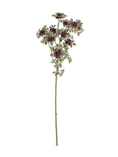 KRWAWNIK GAŁĄZKA Z OWOCAMI 60CM RT BURGUNDY