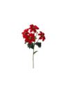 POINSECJA GAŁĄZKA 50CM 4 KWIATY VELVET RED