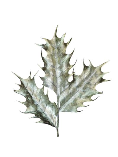 DĄB 3 LIŚCIE GAŁĄZKA PIK 50CM METALIC GREEN