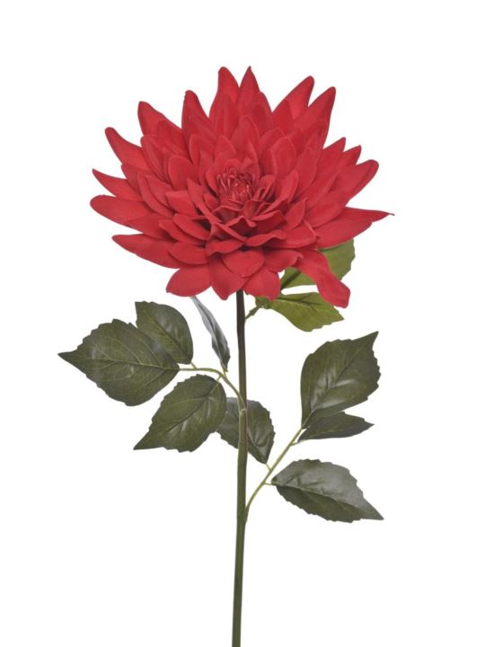 DALIA GIGANT VELVET 70CM ART281 RUBIN