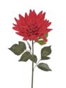 DALIA GIGANT VELVET 70CM ART281 RUBIN