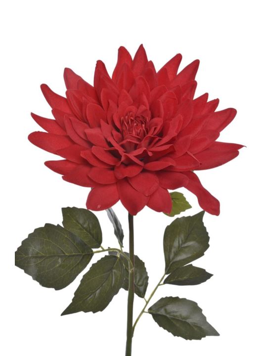DALIA GIGANT VELVET 70CM ART281 RUBIN