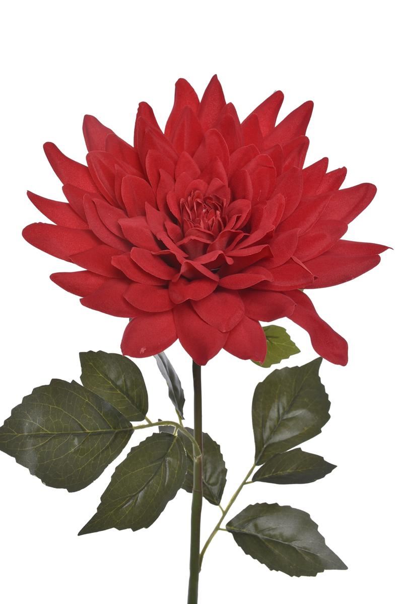 DALIA GIGANT VELVET 70CM ART281 RUBIN