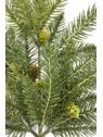 ŚWIERK GAŁĄZKA 51CM XYD135 GREEN