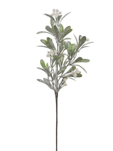 JEMIOŁA GAŁĄZKA OSZRONIONA 53CM WHITE GREEN