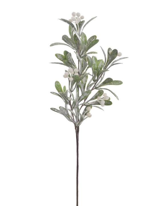 JEMIOŁA GAŁĄZKA OSZRONIONA 53CM WHITE GREEN