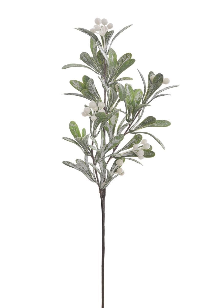 JEMIOŁA GAŁĄZKA OSZRONIONA 53CM WHITE GREEN