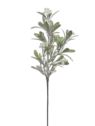 JEMIOŁA GAŁĄZKA OSZRONIONA 53CM WHITE GREEN