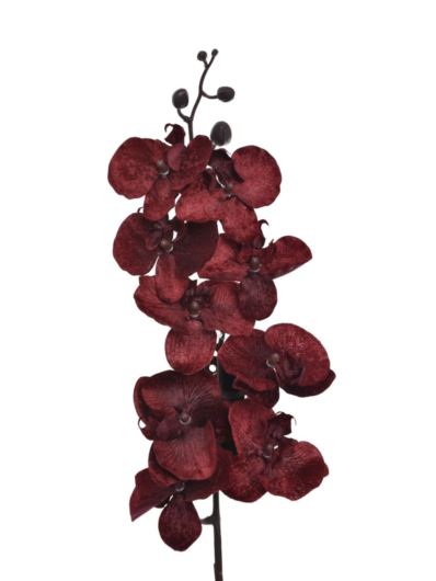 STORCZYK VELVET GAŁĄZKA 100CM XMEI2004 BURGUNDY