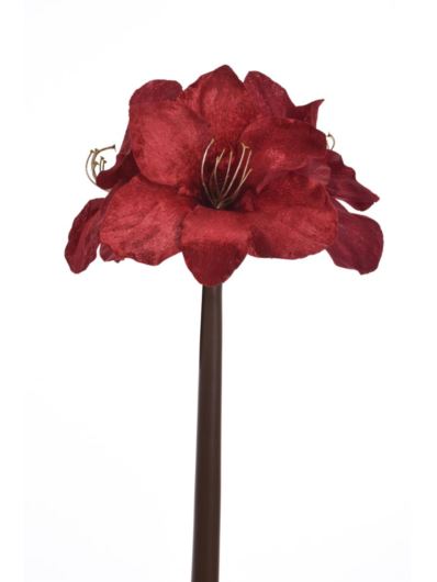 AMARYLIS VELVET 52CM XMEI2006 RED